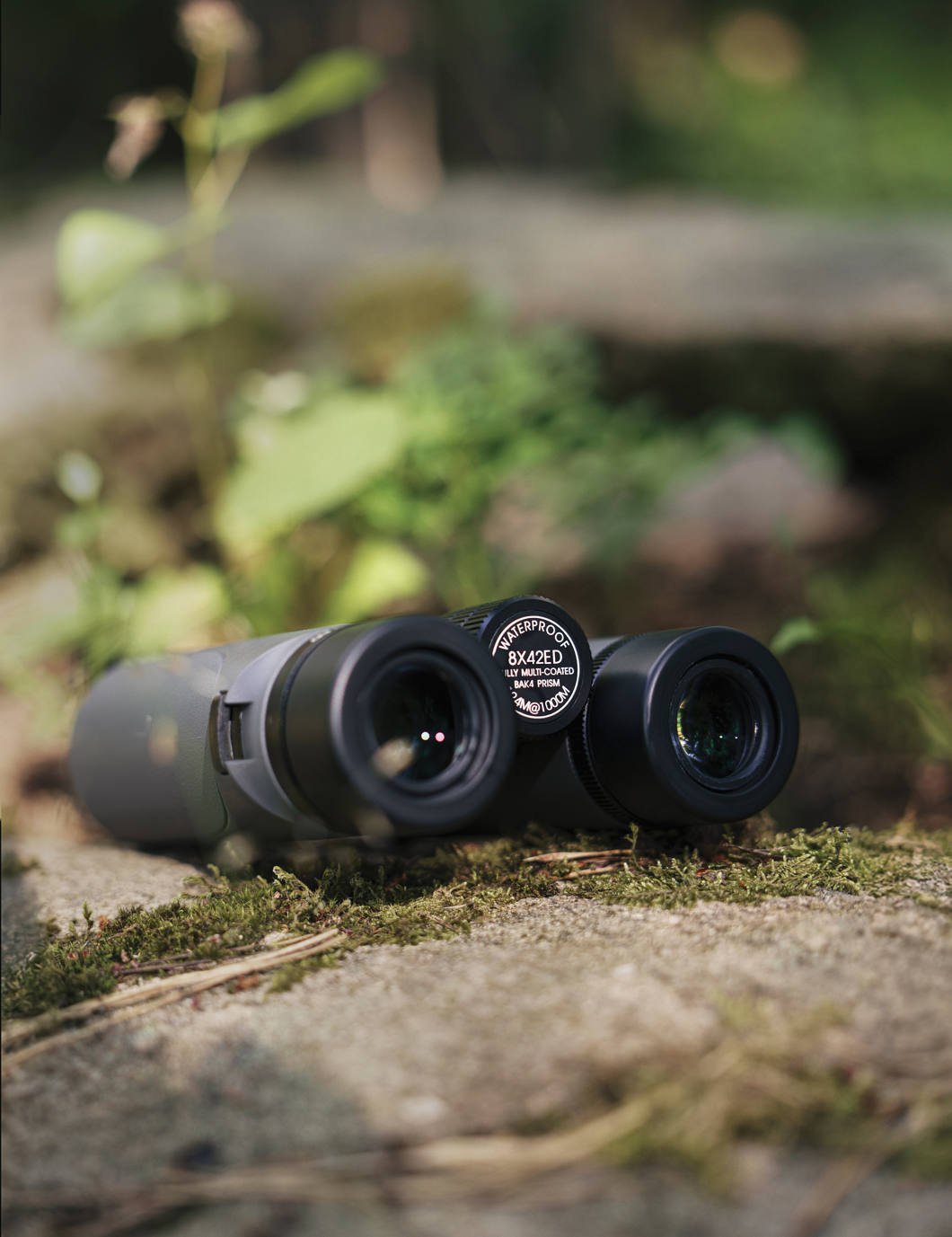 Tālummaiņa Focus Focus Observer 8x42 ED