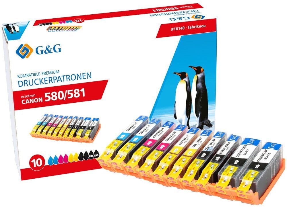 Tintes kārtridžu komplekts G&G XXL 10