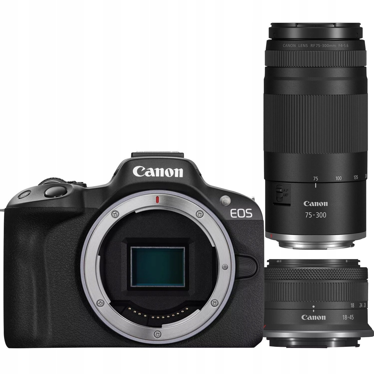 Canon EOS R50 + RF-S 18-45mm