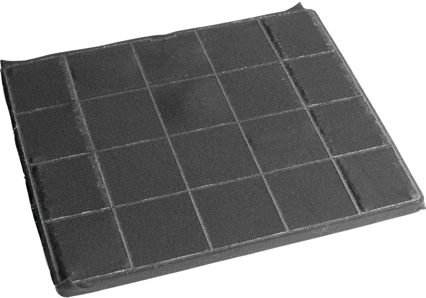 Electrolux oglekļa filtrs (ECFBPL02) | 9029866119