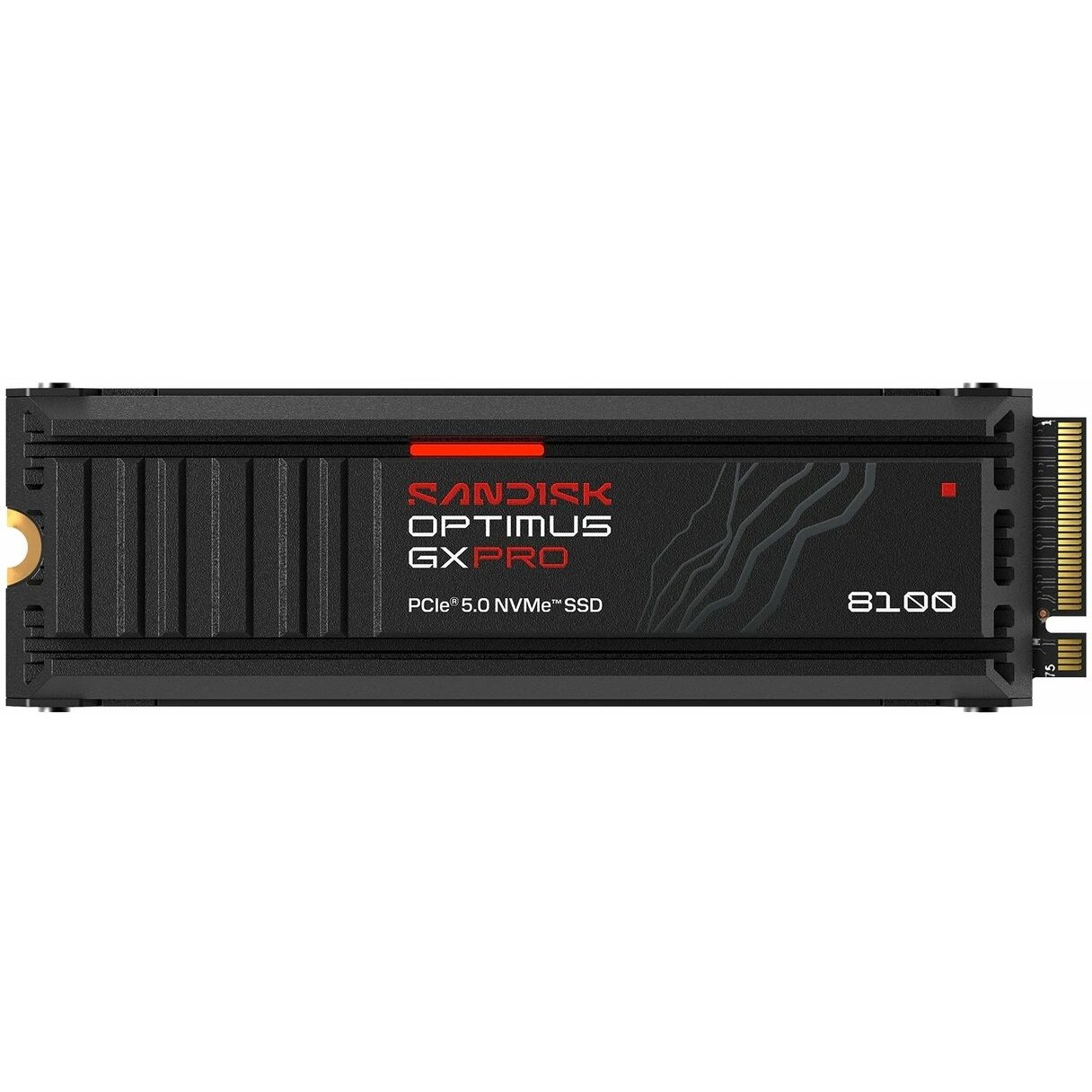 SSD disks SanDisk SanDisk Optimus GX