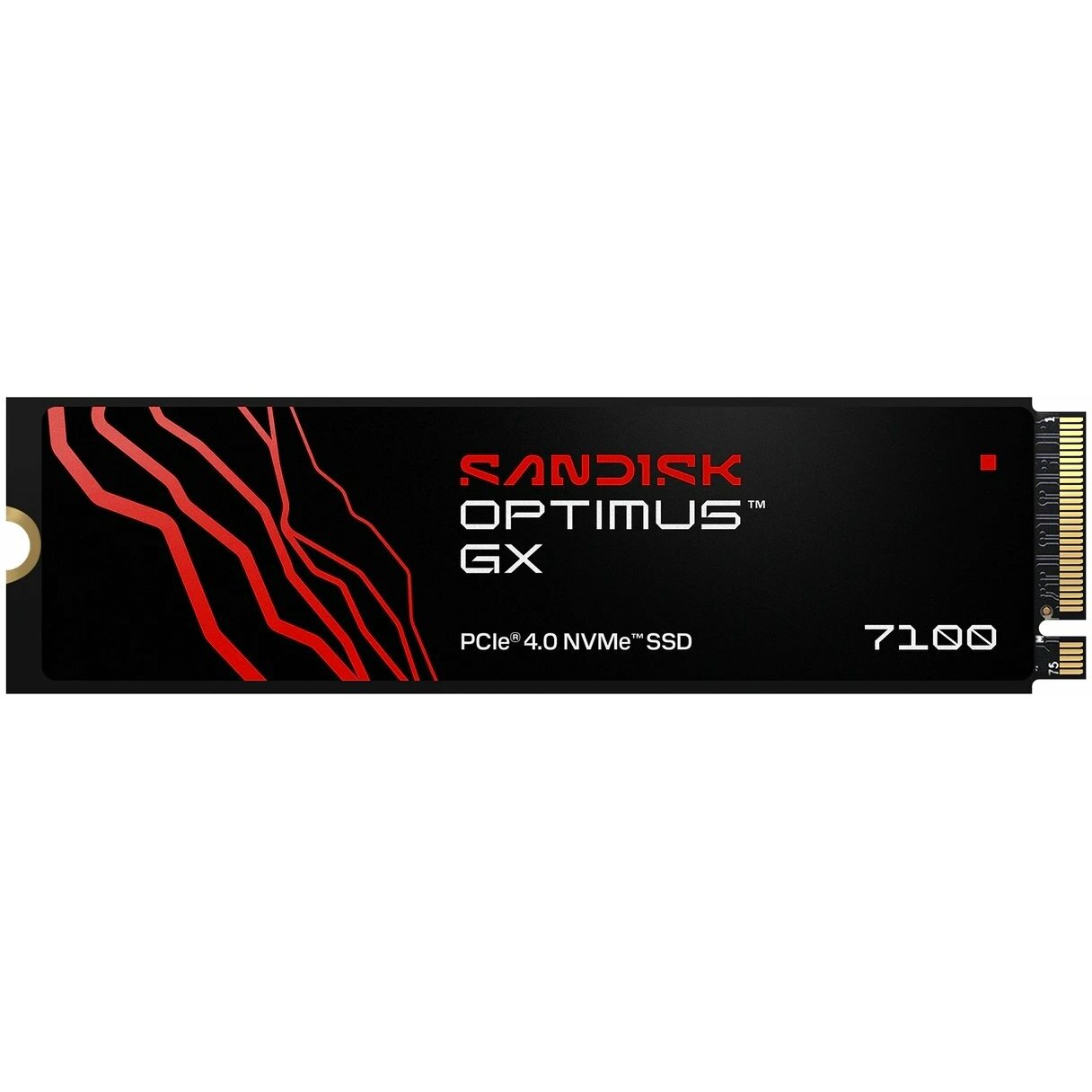 SSD disks SanDisk SanDisk Optimus GX