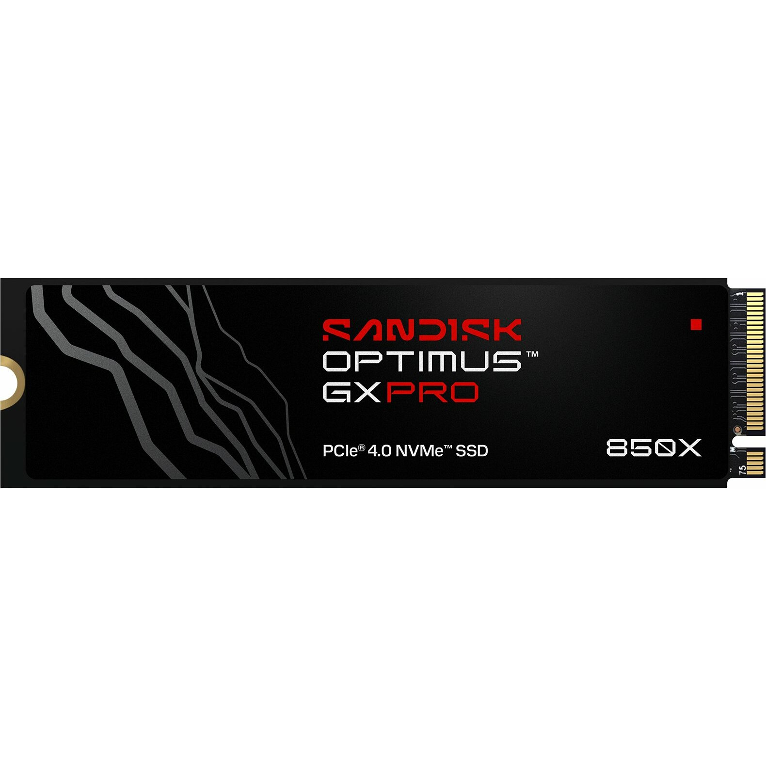 SSD disks SanDisk SanDisk Optimus GX