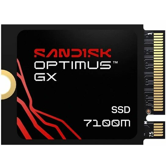 SSD disks SanDisk SanDisk Optimus GX