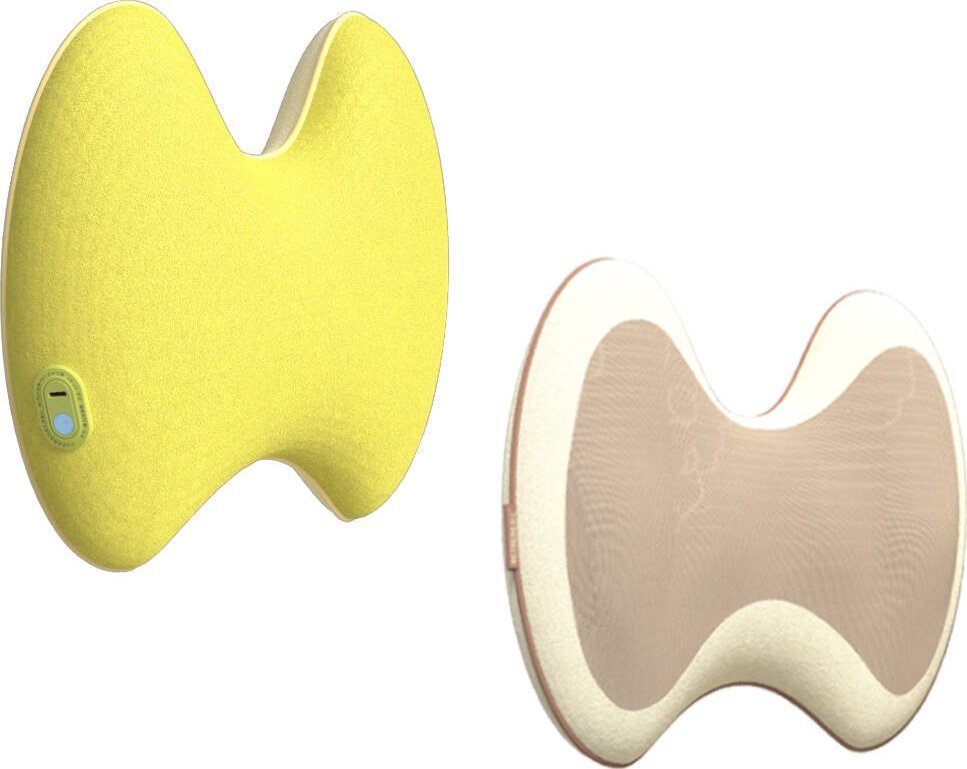 Muguras masieris Cecotec INOLY HZ-W1 |
