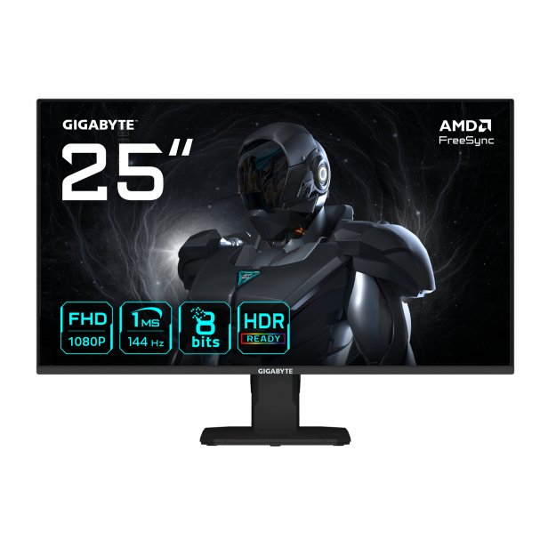 GigaByte GS25F14 monitors (62.2 cm