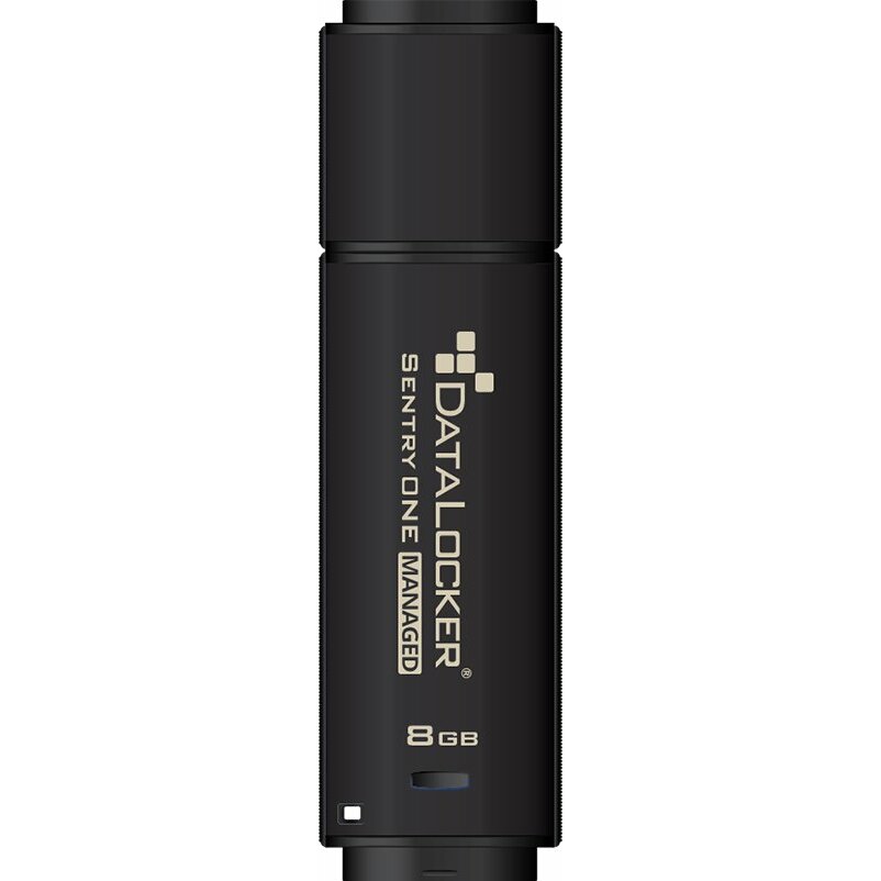 USB zibatmiņa DataLocker Sentry One Managed