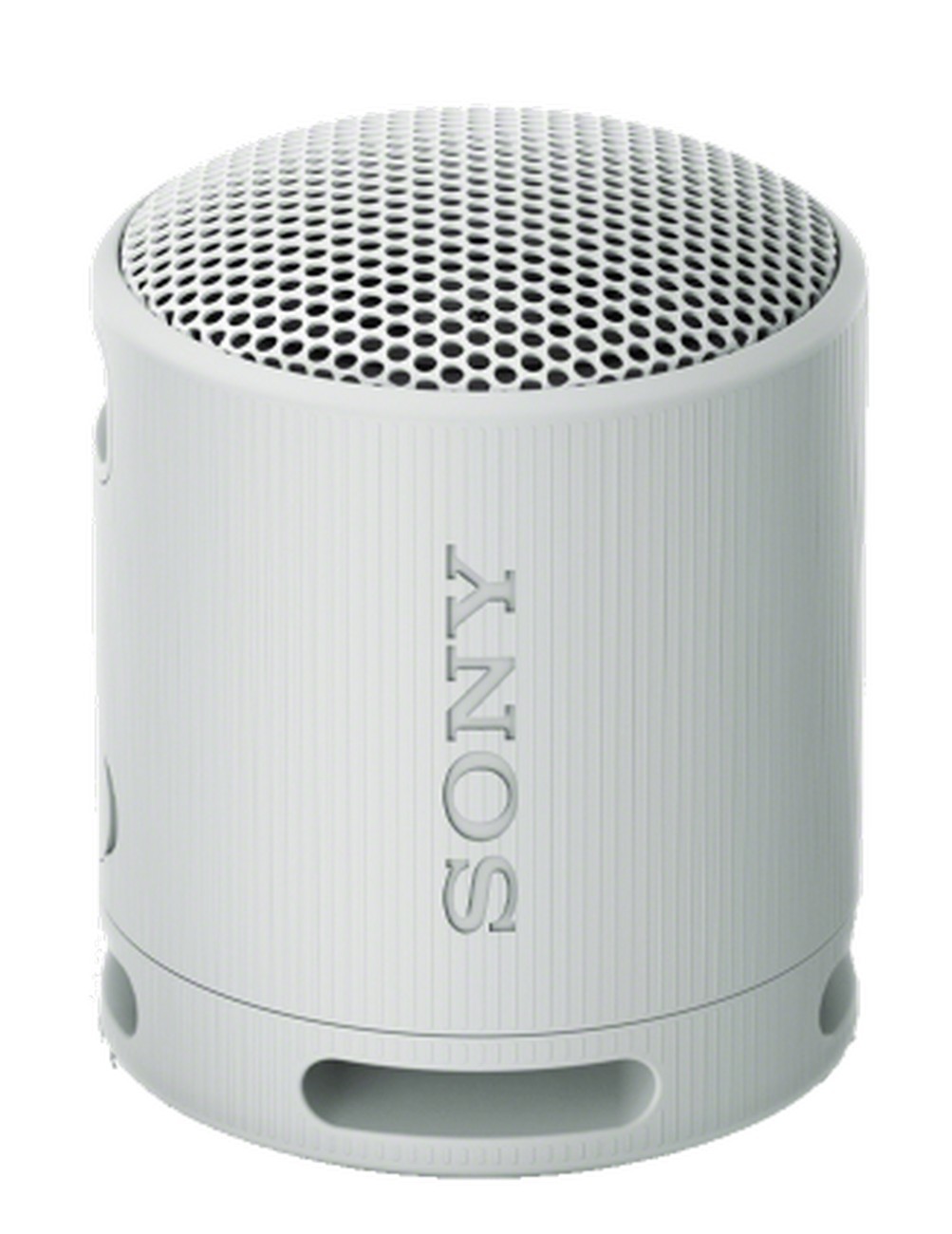 Skaļrunis Sony SRS-XB100 Grey (SRSXB100H.CE7)