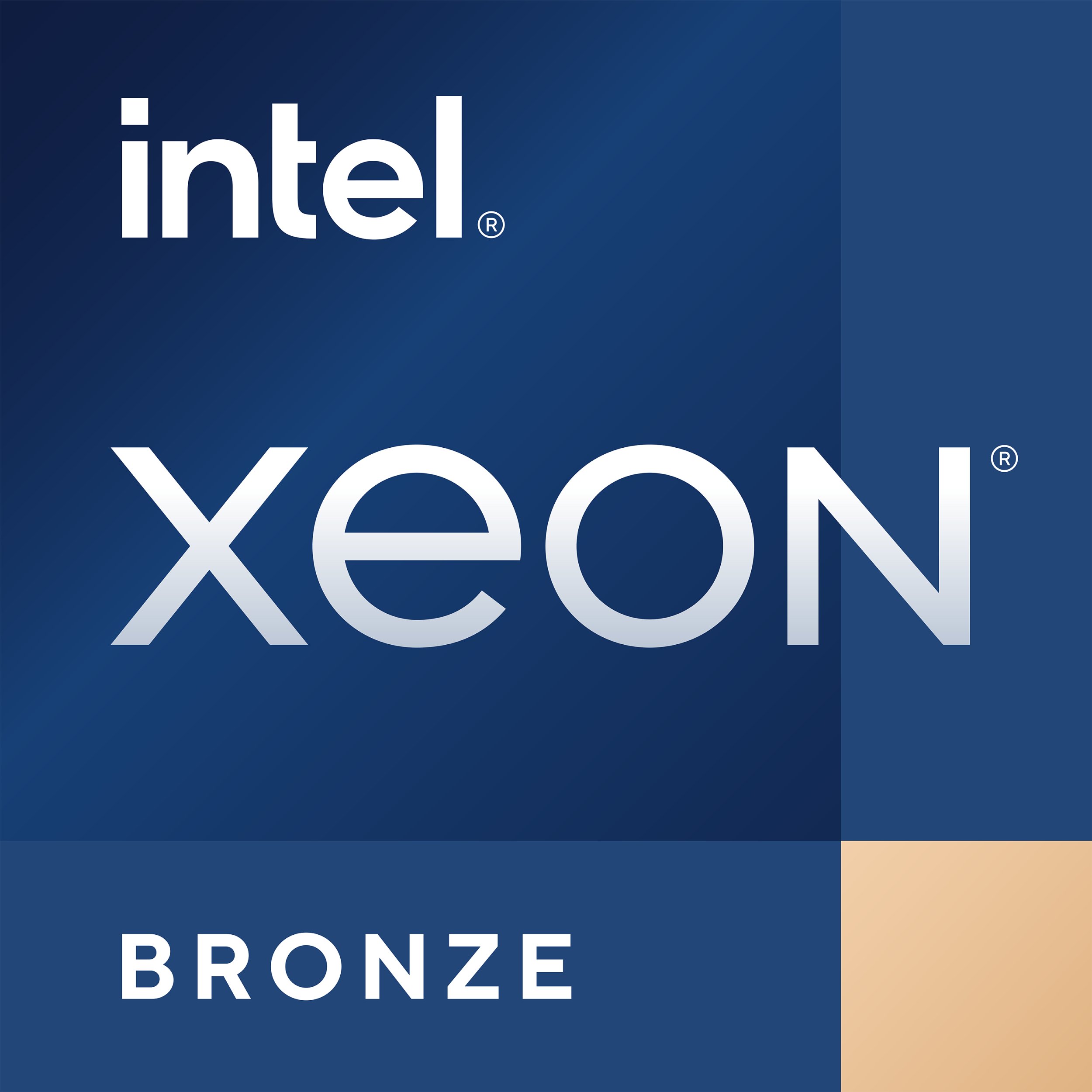 Servera procesors Intel INTEL Xeon Bronce