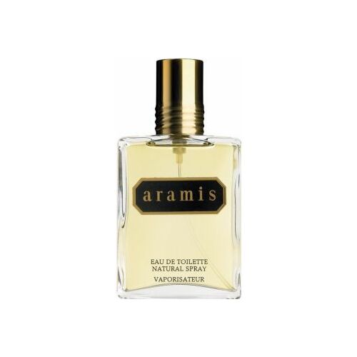 Tualetes ūdens Aramis For Man 110