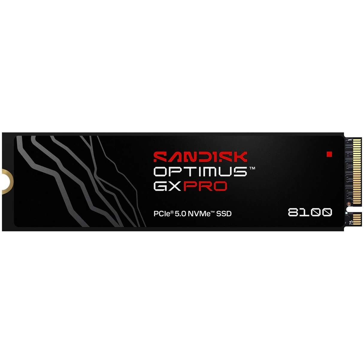 SSD disks SanDisk SanDisk Optimus GX
