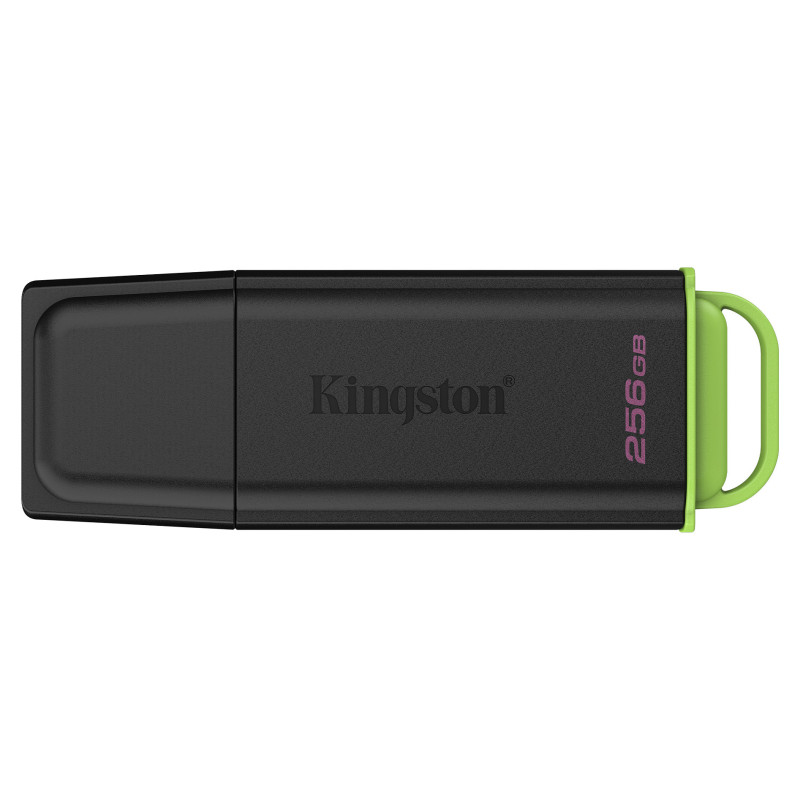 Kingston 256GB USB 3.2 Gen