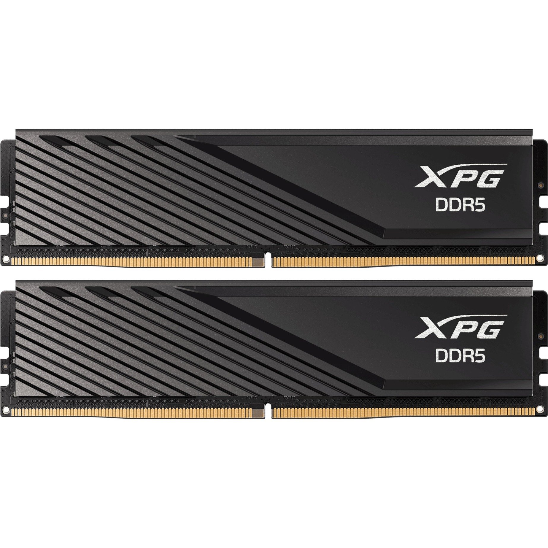 ADATA DIMM 16 GB DDR5-5600 (2x