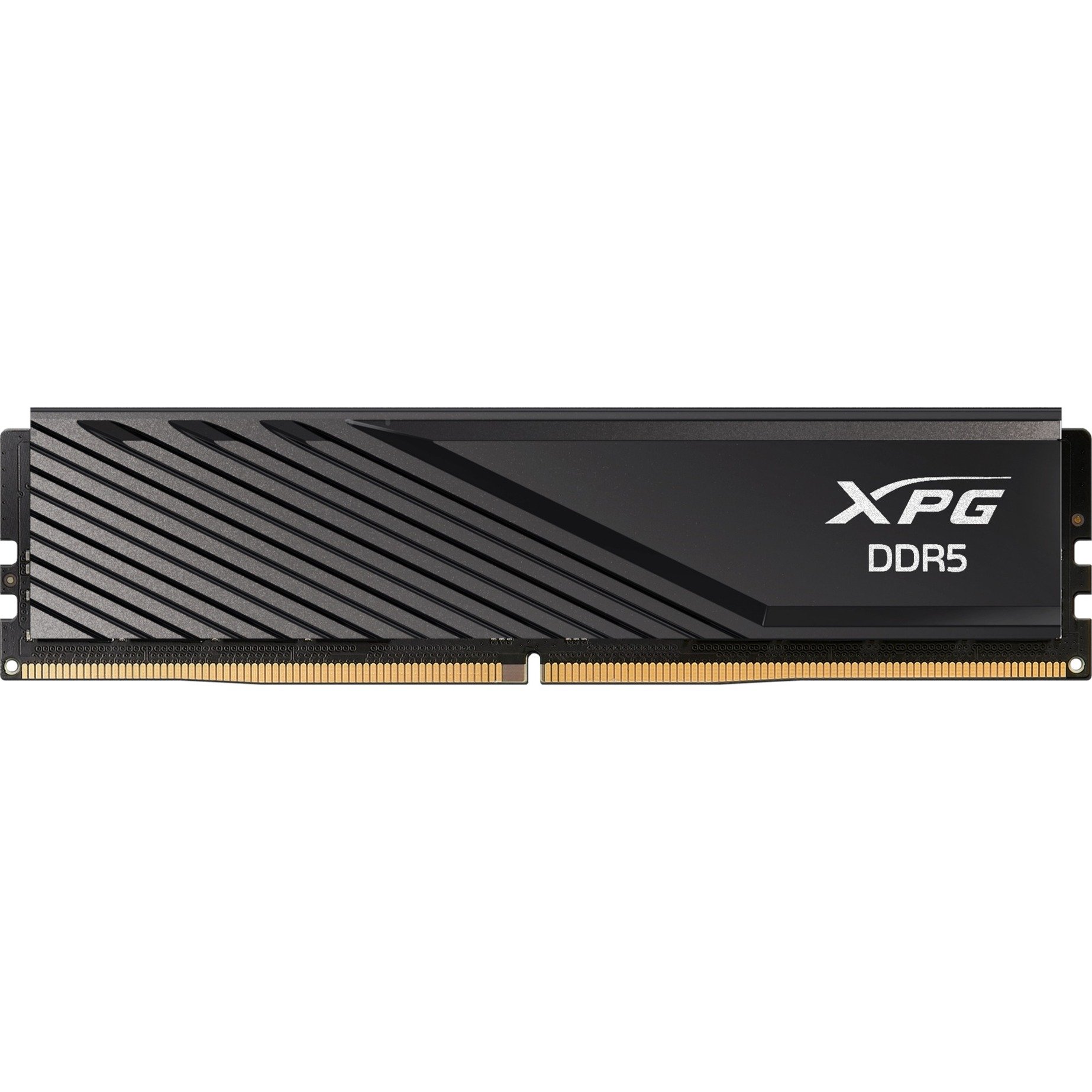 DIMM 16 GB DDR5-5600 , Arbeitsspeicher schwarz
