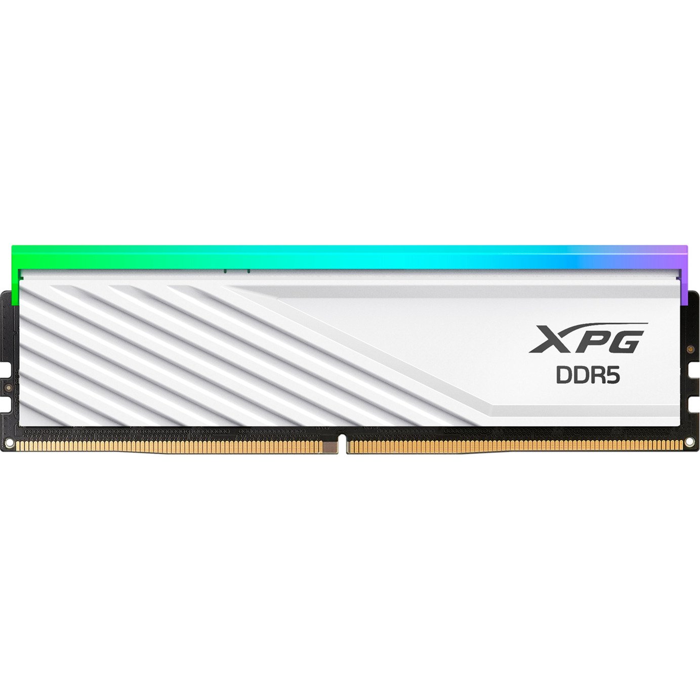 ADATA DIMM 16 GB DDR5-6000 (1x