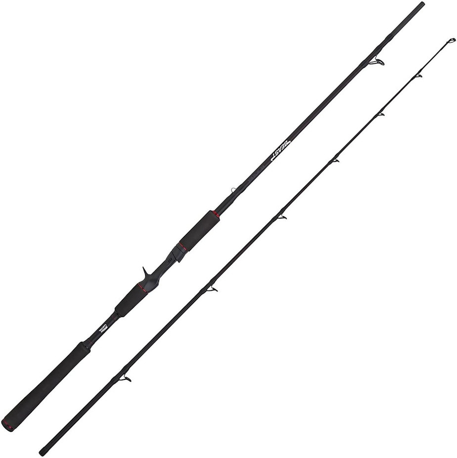 Abu Garcia BEAST Pike 842XH 40-140g