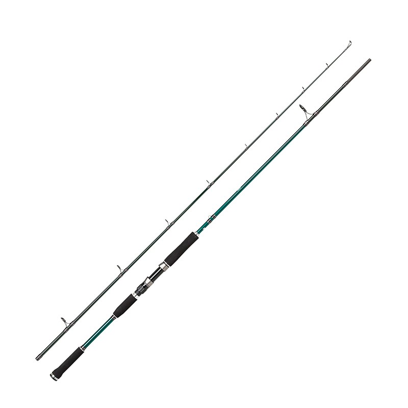 Abu Garcia BEAST X PIKE 862