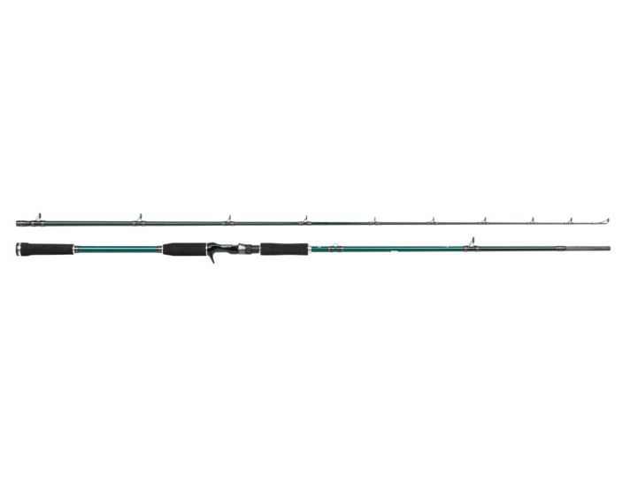 Abu Garcia BEAST X Pike 862