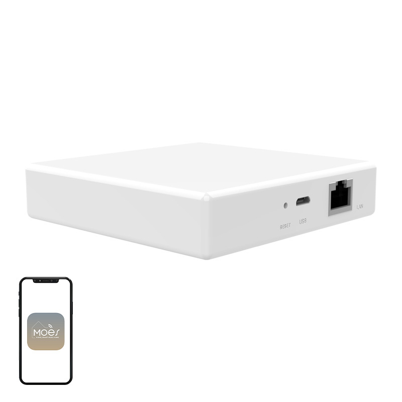 Moes Tuya Zigbee Matter Thread viedās