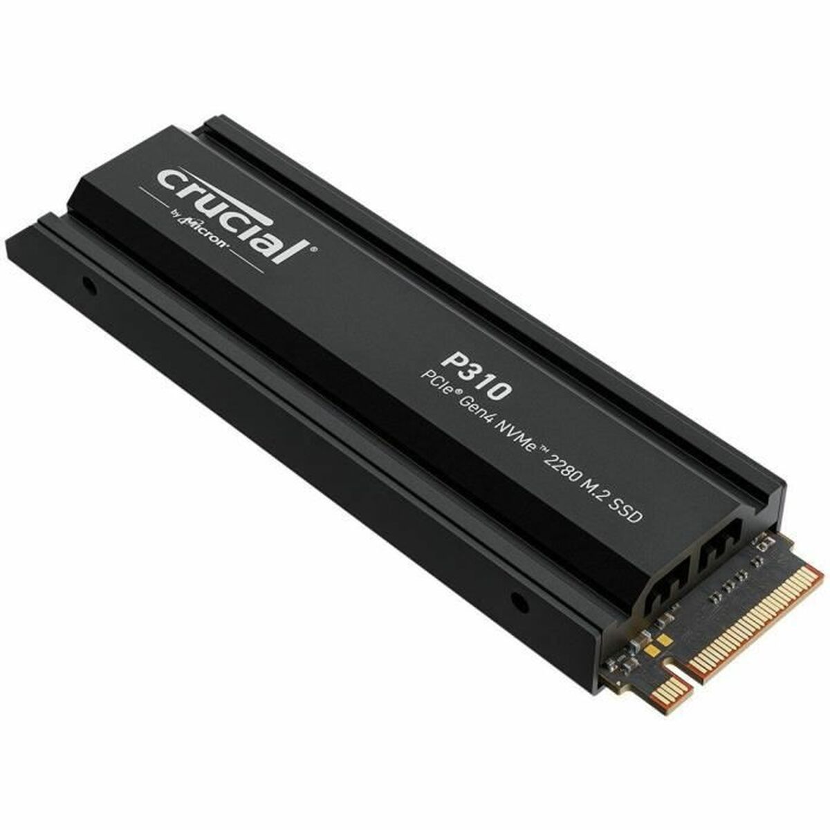SSD disks Crucial P310 2TB M