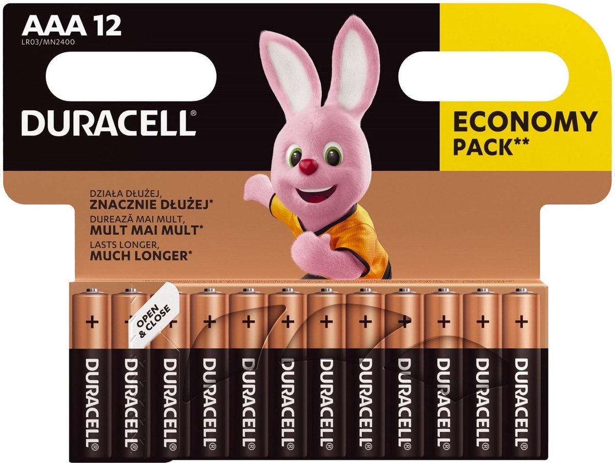 Duracell MN 2400 Basic AAA (LR03)