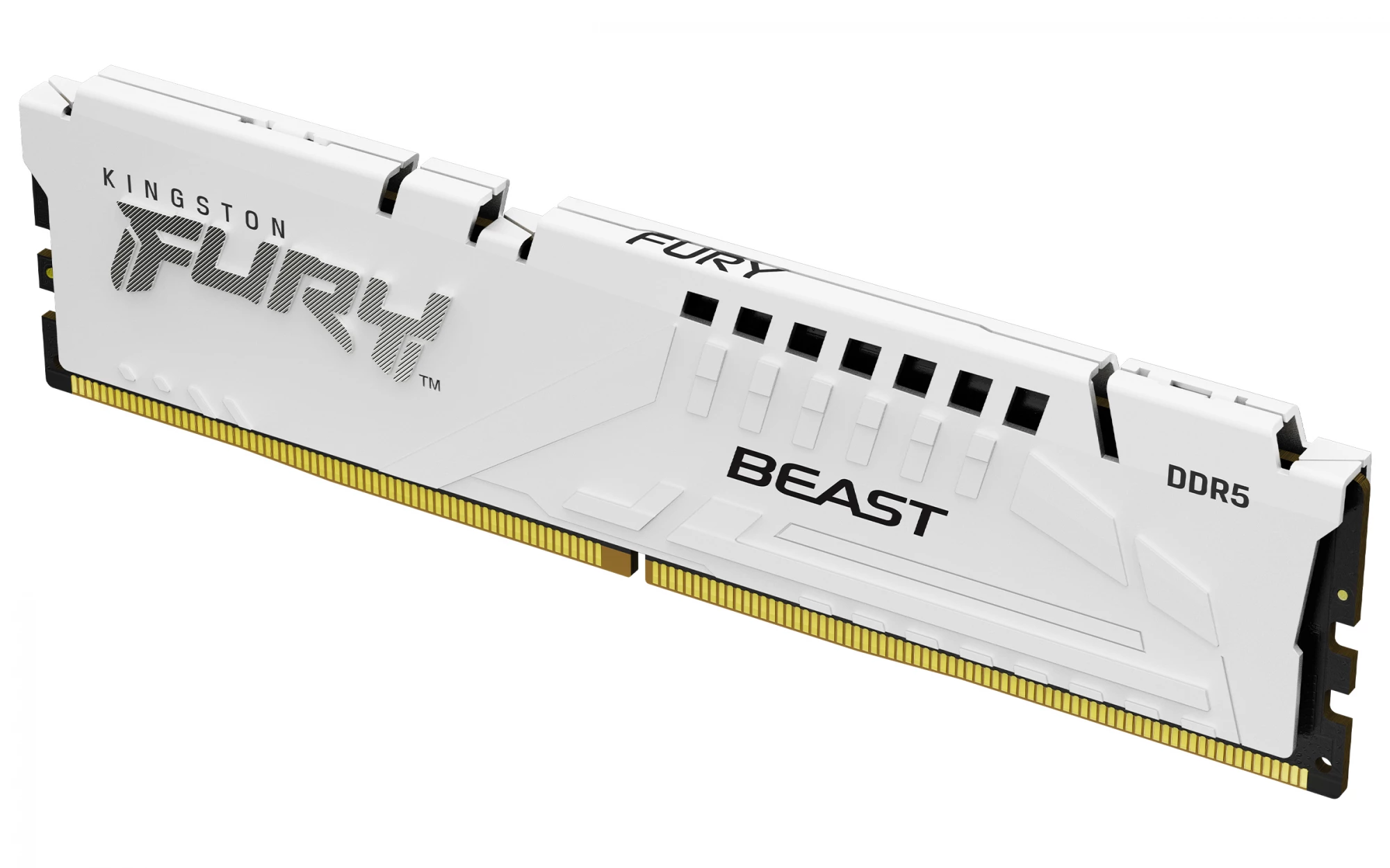 Kingston FURY Beast EXPO/DDR5/32 GB/6000 MHz/CL30/1x32