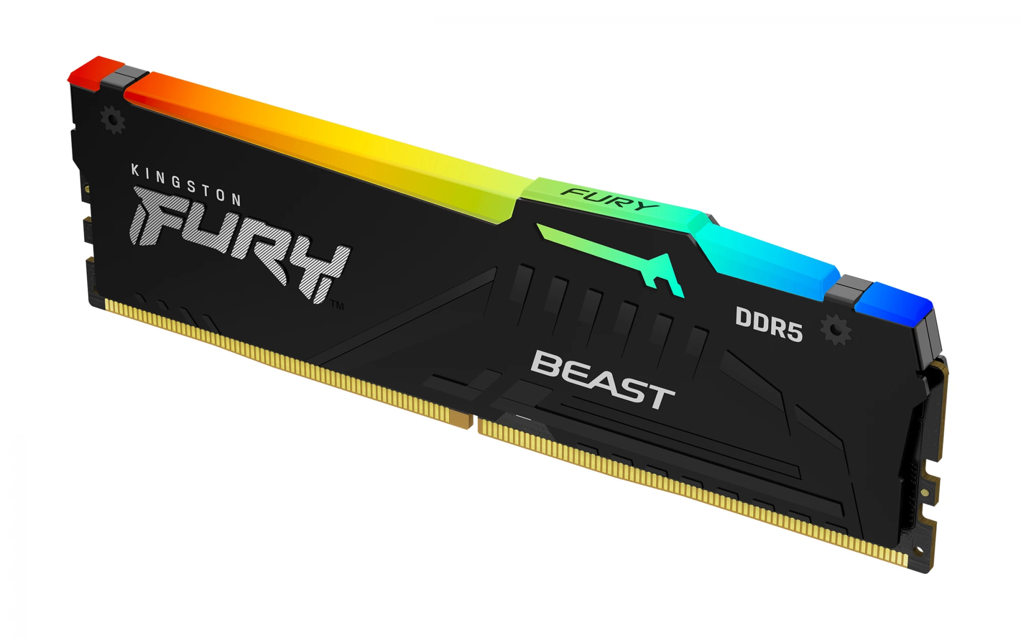 Kingston Fury Kingston Technology FURY Beast