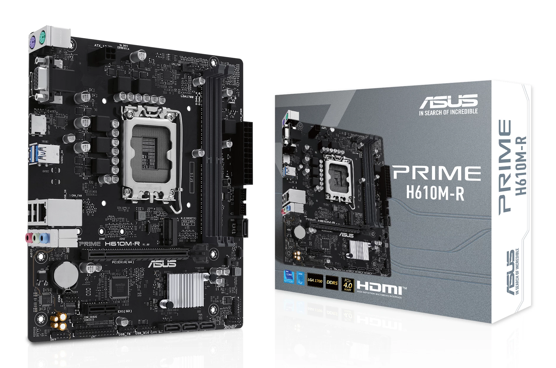 Pagrindinė plokštė Asus PRIME H610M-R-SI DDR5