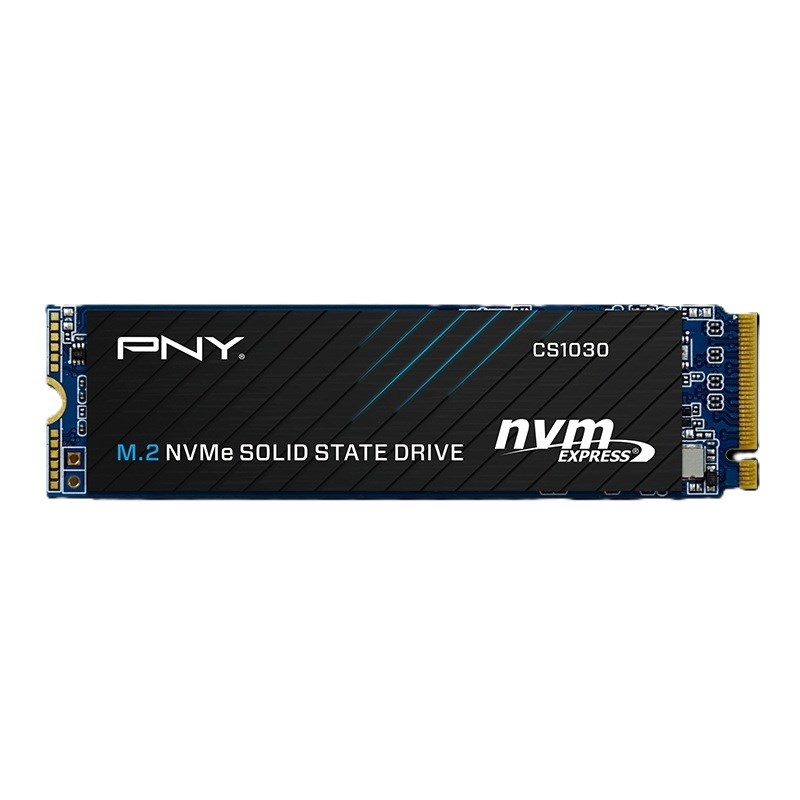 PNY Technologies SSD disks PNY CS1030