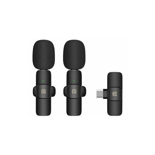 Puluz PU3151B 2 x Mic Bezvadu