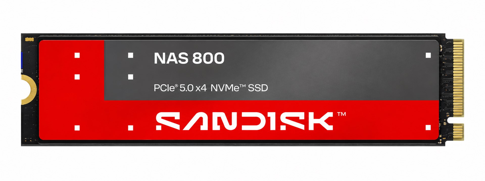 SSD disks SanDisk NAS 800 960