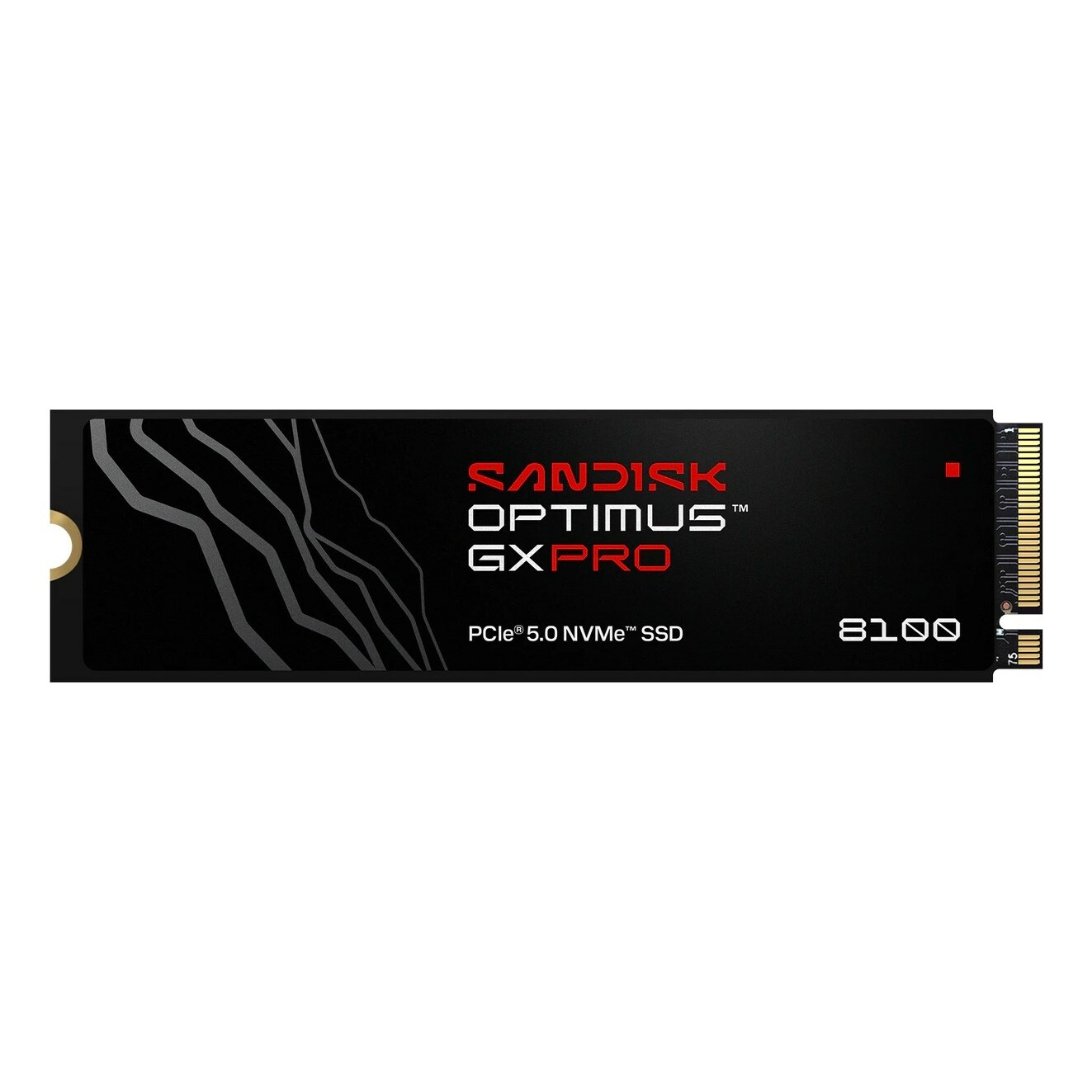 SSD disks SanDisk SanDisk Optimus GX