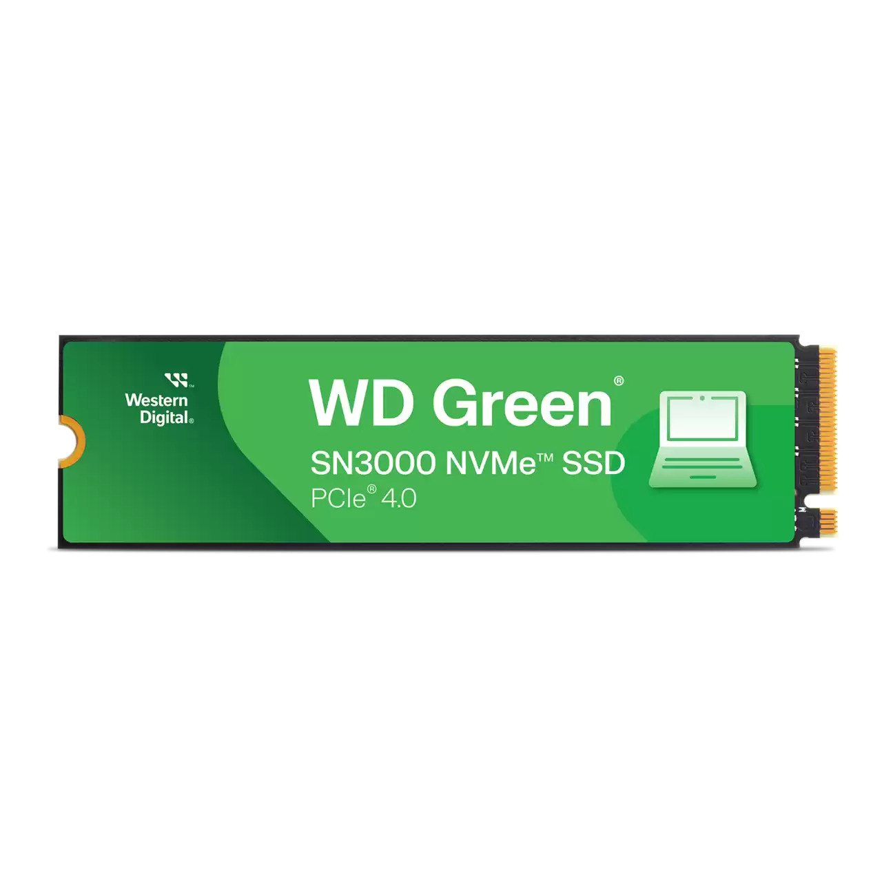 WESTERN DIGITAL SSD disks SanDisk Green
