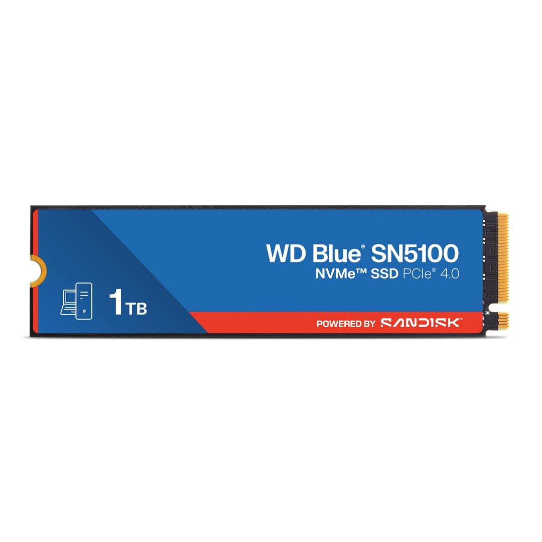 SSD disks SanDisk SN5100 1TB M