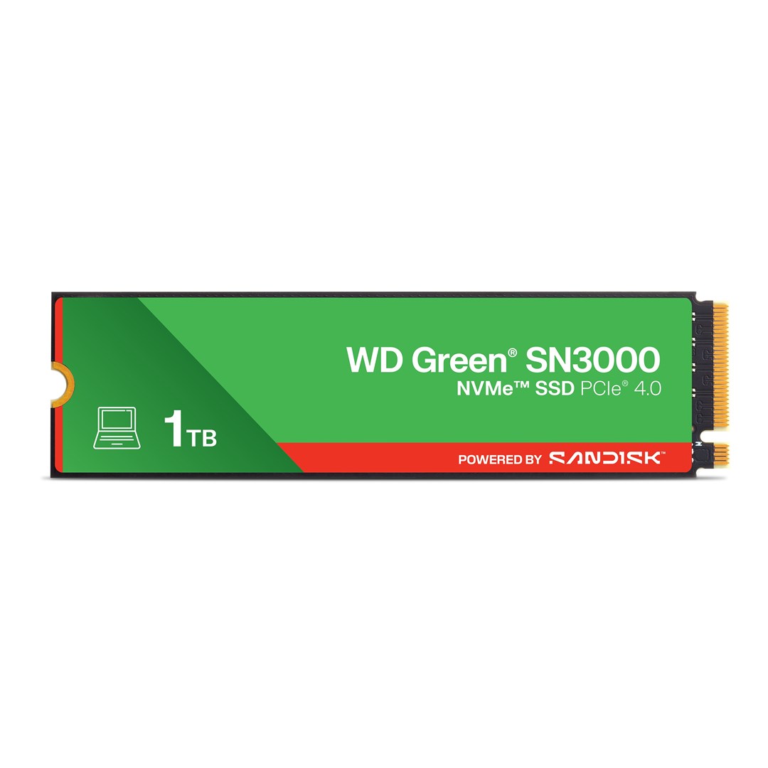 SanDisk WD SN3000 NVMe SSD Disks