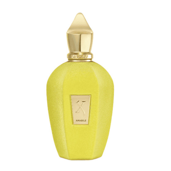 Xerjoff Amabile Smaržas EDP 100ml Tester