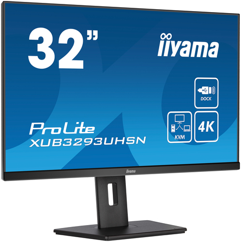 Iiyama ProLite XUB3293UHSN-B5 31.5 Zoll